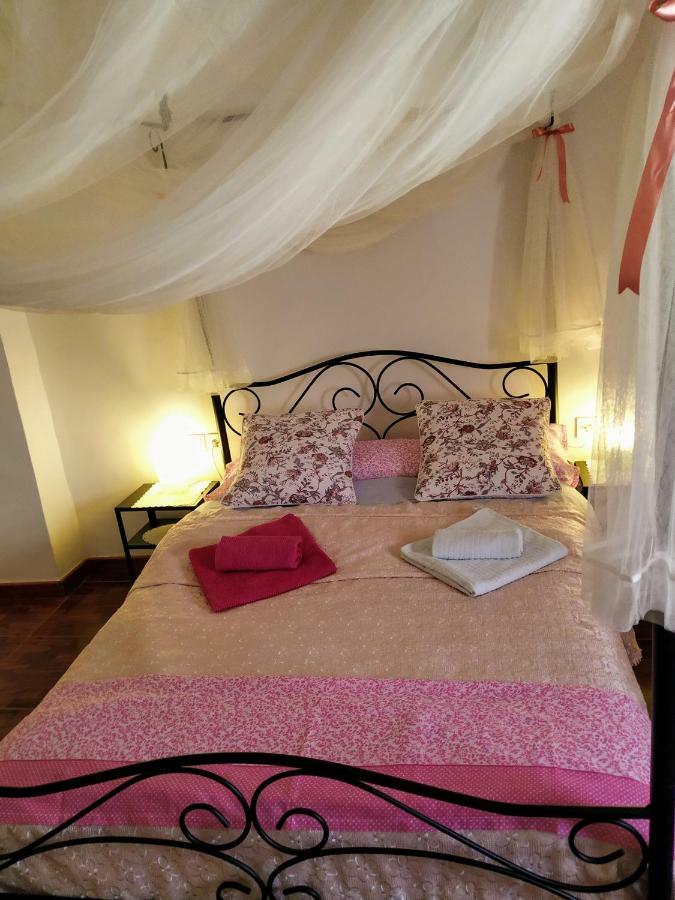 Apartamento Entero "El Casco Antiguo" Vt-46811-V Xàtiva Dış mekan fotoğraf