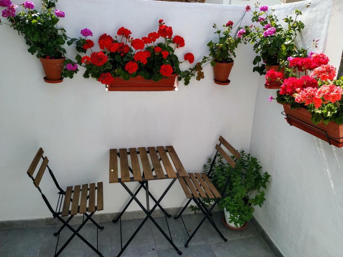 Apartamento Entero "El Casco Antiguo" Vt-46811-V Xàtiva Dış mekan fotoğraf